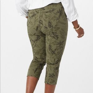 dress barn plus size capris